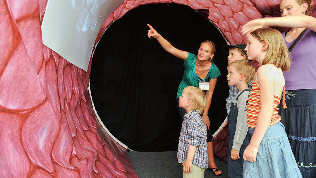 Wissenschaft interaktiv (Foto: David Ausserhofer) Wissenschaft interaktiv (Foto: David Ausserhofer)