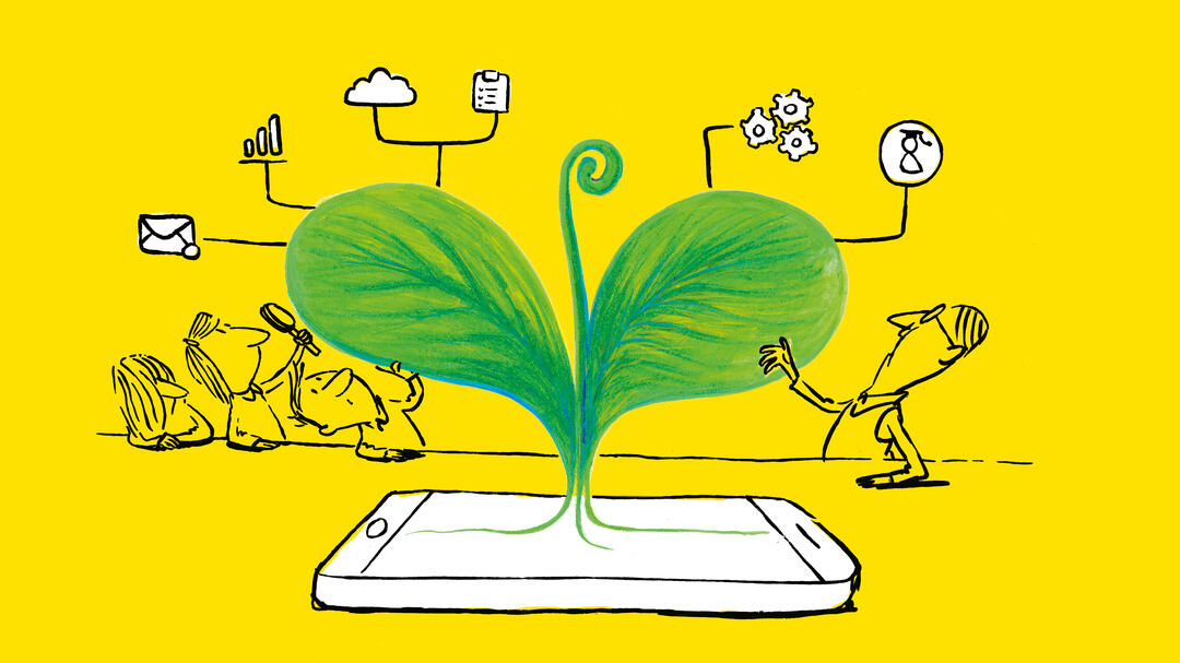 Illustration: Maren Amini image