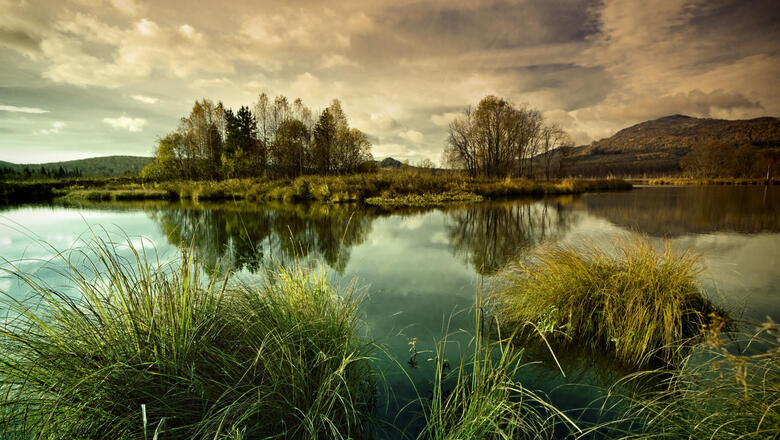 Foto: iStock/ Evgeny Prokofyev image