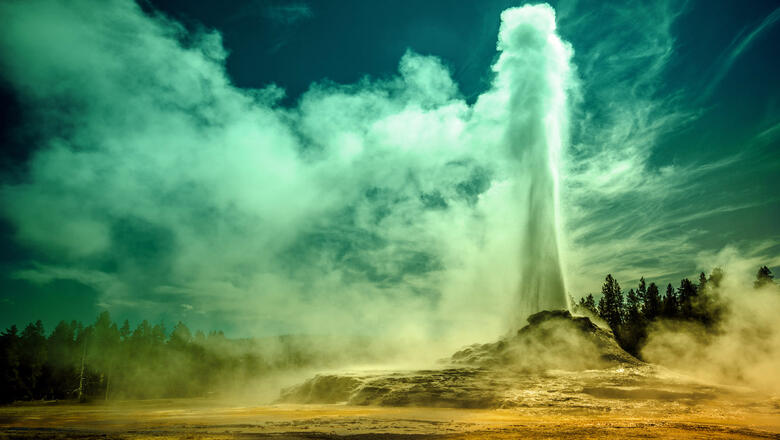 Foto. iStock/ Riishede image
