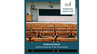 Wirkungsfeld "Lehrinnovationen in der Hochschule"