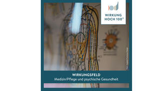 Wirkungsfeld "Medizin/Pflege und psychische Gesundheit"