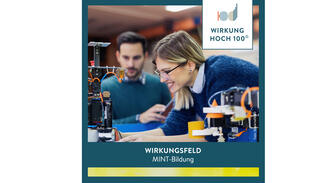 Wirkungsfeld "MINT-Bildung"